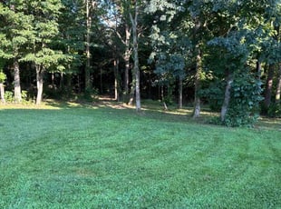 Kelly G.'s Cleanups service result