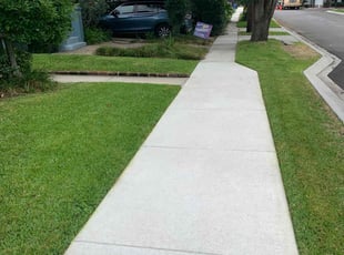 Chelsea D.'s lawn care service result