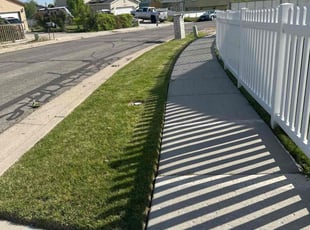 Jeanette K.'s landscaping service result