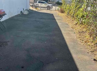 Ramon C.'s turf care service result