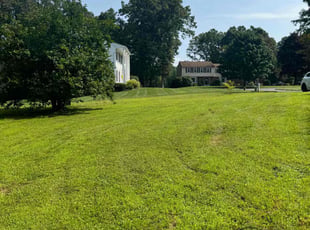 Kosal K.'s lawn service service result