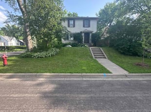 Cori E.'s turf maintenance service result