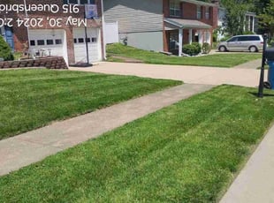 Shawndra D.'s lawn maintenance service result