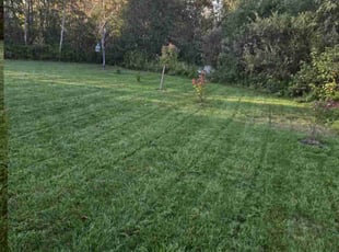 Quincy J.'s lawn service service result