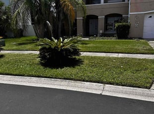 Abby M.'s grass cutting service result