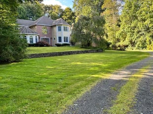 Mike P.'s lawn care service result