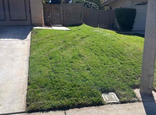 Joseph M.'s grass cutting service result