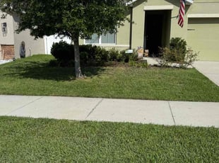 Kyle M.'s lawn care service result