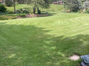 Teresa B.'s turf care service result