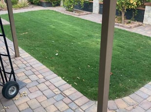 Scott S.'s grass maintenance service result