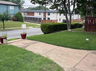 Hussein A.'s turf maintenance service result