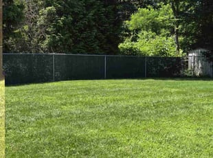 Brandon S.'s grass maintenance service result