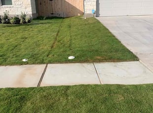 Derrick M.'s lawn service service result