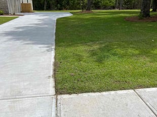 Anthony L.'s grass maintenance service result