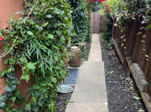 Helen T.'s Bush Trimming service result