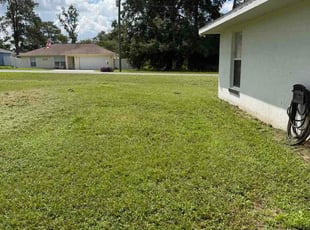 Celia F.'s lawn care services service result