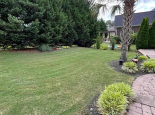 Doughlas T.'s lawn maintenance service result