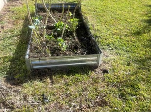 Brenda D.'s Cleanup service result