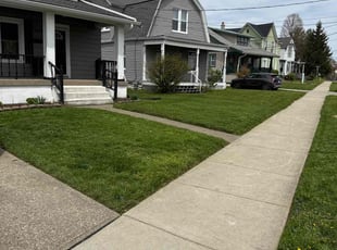 Candace C.'s grass maintenance service result