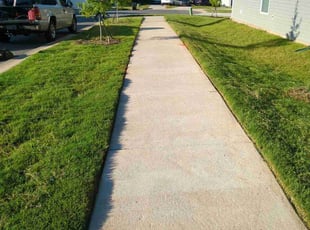 Lana C.'s lawn service service result