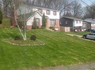 Beverly W.'s grass cutting service result
