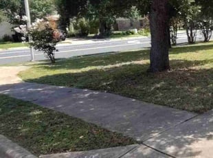 carrie d.'s lawn service service result