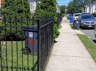 Adam F.'s grass maintenance service result