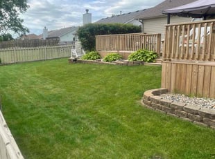 Madelyn B.'s grass cutting service result