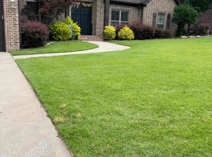 Fred B.'s lawn care service result