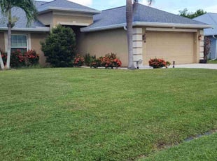 Long T.'s grass maintenance service result