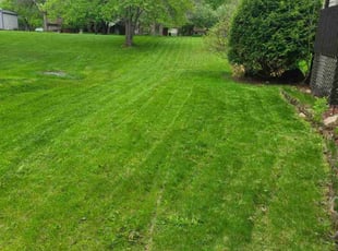 Melisa H.'s lawn maintenance service result