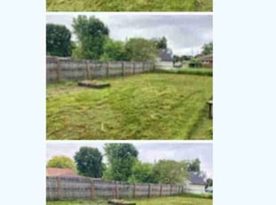 Dmitri M.'s turf care service result