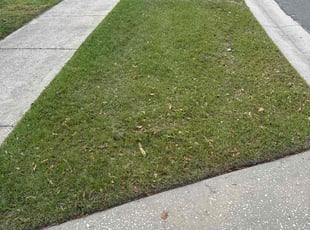 Beverly H.'s turf maintenance service result