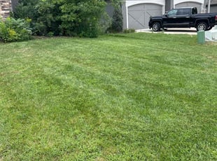 Greg M.'s lawn maintenance service result