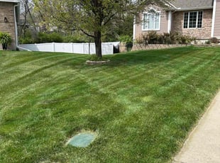 Dillon J.'s landscaping services service result