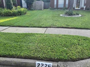 Stefanie H.'s grass maintenance service result