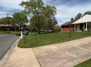 Chandra T.'s grass maintenance service result