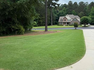 Diane M.'s turf maintenance service result