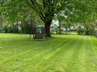 Frank M.'s lawn care services service result