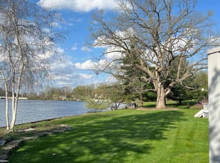 Erica E.'s turf care service result