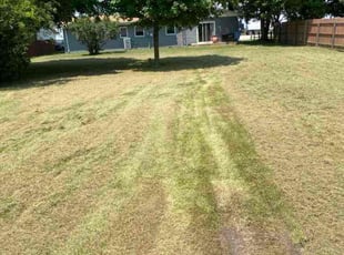 Charlie L.'s lawn service service result