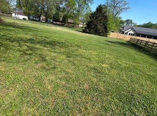 Margaret D.'s lawn care service result