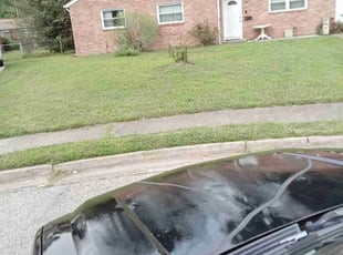 Michael S.'s grass cutting service result