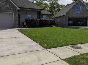 Kebrina R.'s lawn care service result