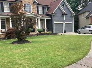 Vanessa W.'s turf care service result