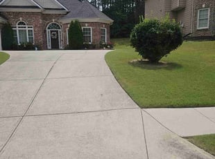 Gabriella A.'s turf care service result