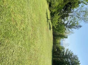 Nathan R.'s turf maintenance service result