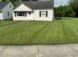 Richard P.'s grass maintenance service result