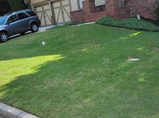 Christy D.'s grass maintenance service result