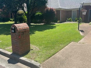 Aracely C.'s lawn care service result